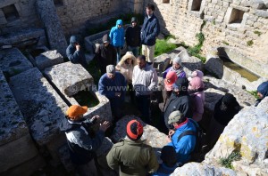 ecotourisme en tunisie - Dougga