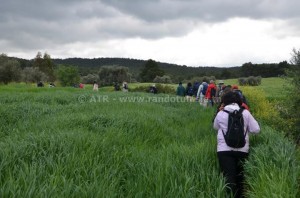 Randonnée à Djebel Ghfai au Kef - debut rando