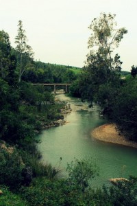 Randonnée à Djebel Tabouba - Oued Maaden