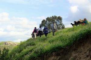 Randonnée à Djebel Ghfai au Kef - au bord de oued Mallègue