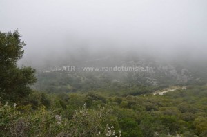 Randonnée à Zaghouan : de Oued Dalia à "damnèt Lanzasse" - Paysage