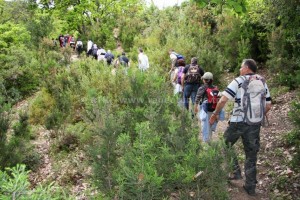 Randonnée à Djebel Tabouba - randonnée 2