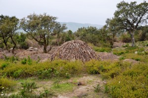 Randonnée à Djebel Tabouba - charbon