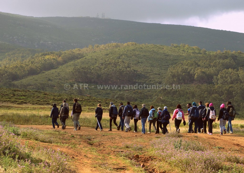 Circuit randonnée kef rand djebel sidi Abderrahmen - Randonnée