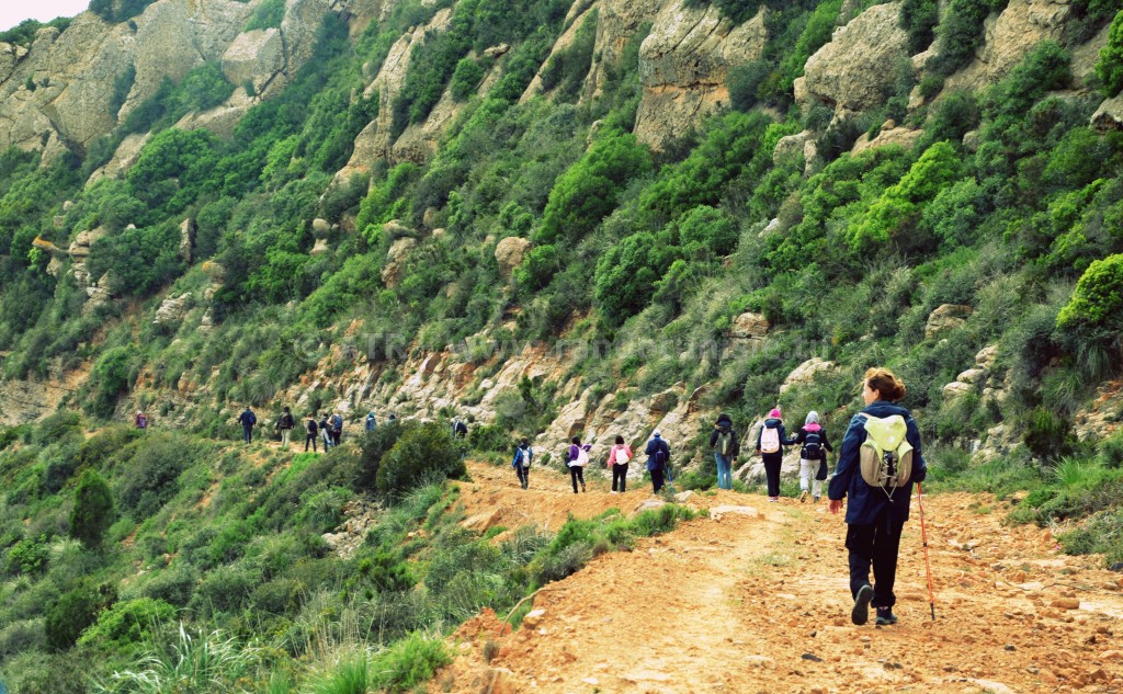 Circuit randonnée kef rand djebel sidi Abderrahmen - Randonnée 2