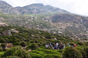 Circuit randonnée el Haouaria - Montagne