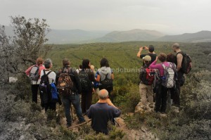 Circuit randonnée Djebel Tabbouba - Vue panoramic