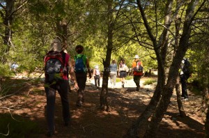Sur les traces des berbères - foret