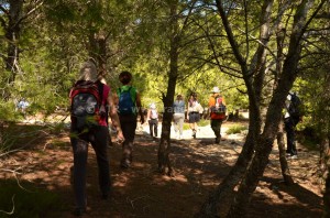 Sur les traces des berbères - foret