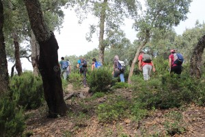 Randonnée à Sidi El Barrak - foret chêne liege