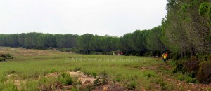 Randonnée à Sidi El Barrak - coupe feu