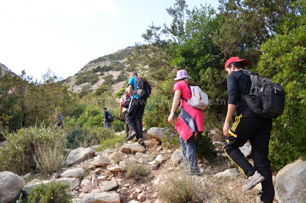 Randonnée à Ain Khanfous Oueslatia - randonnée