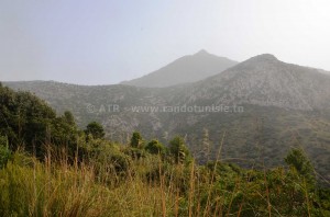 Circuit randonnée Sidi Medien à Zaghouan - paysage