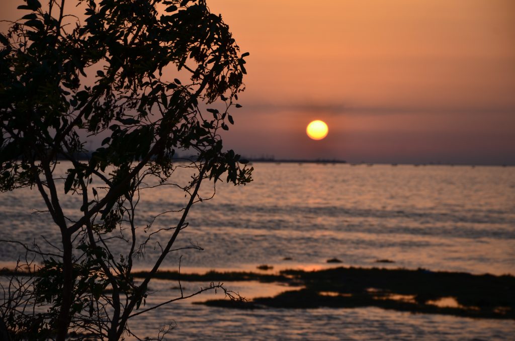 djerba discovery