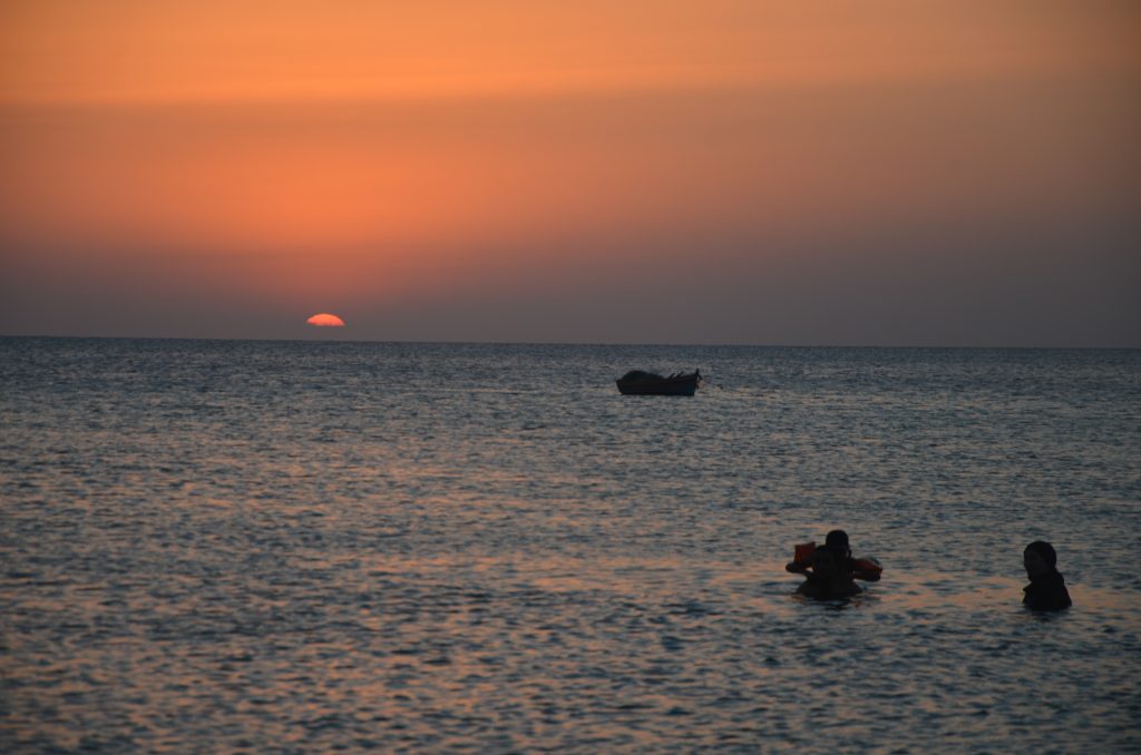 djerba discovery