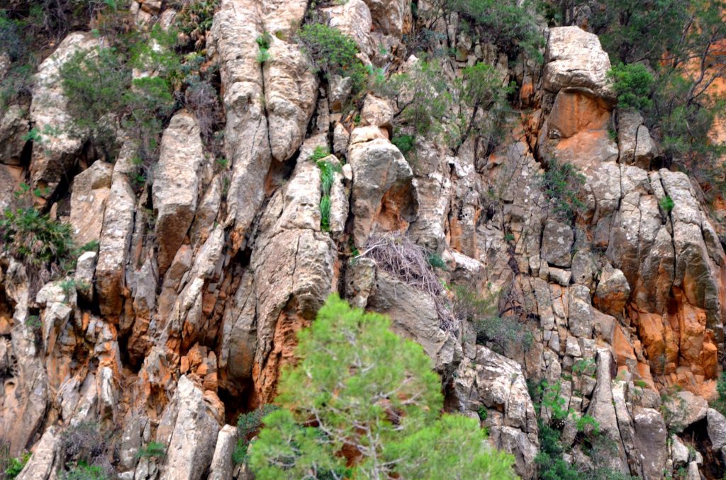 randonnée djebel sidi zid