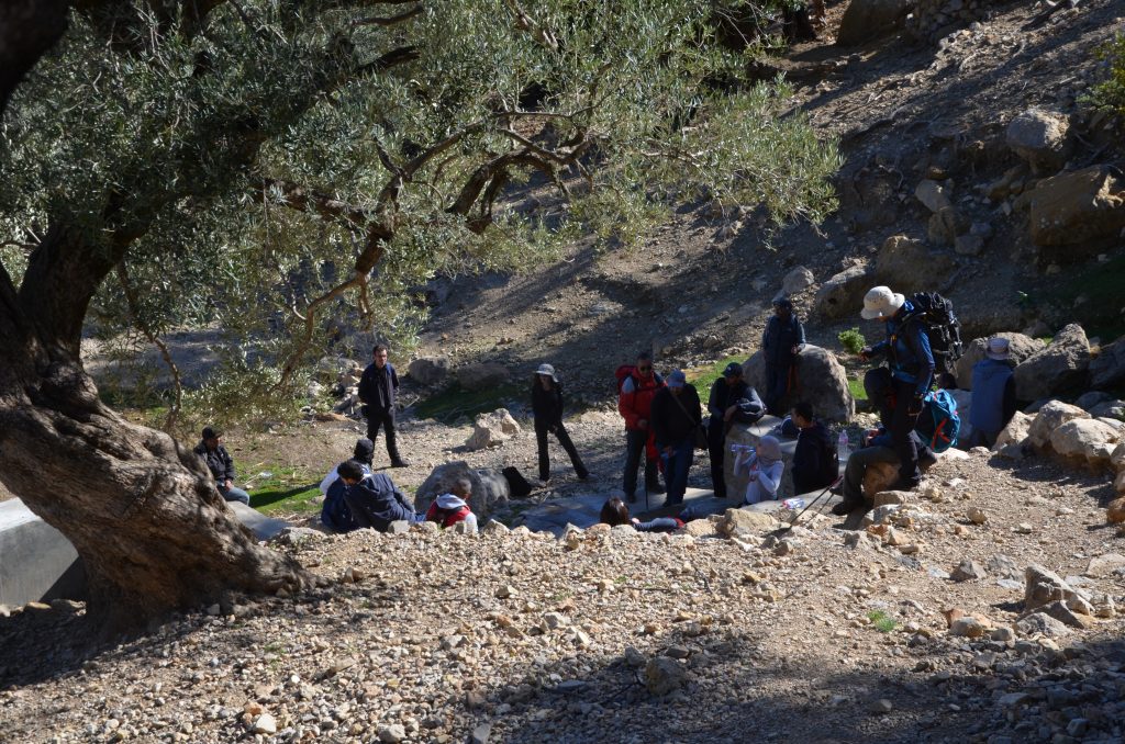 Ain Mzata: l'édifice de Bargou