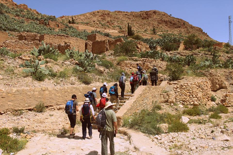 Gafsa: Intégrale Orbata à Bouhedma