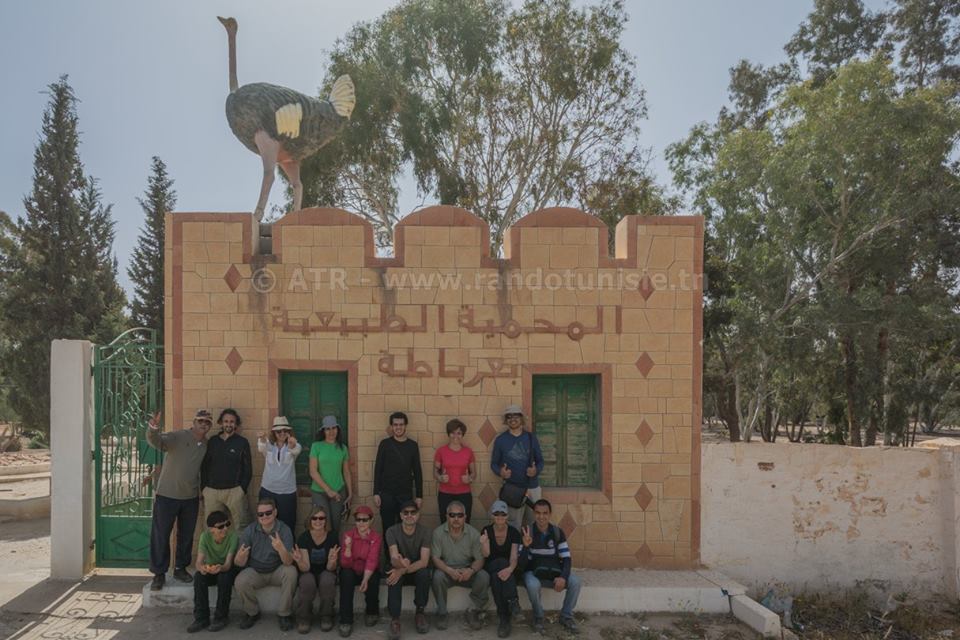 Gafsa: Intégrale Orabata à Bouhedma