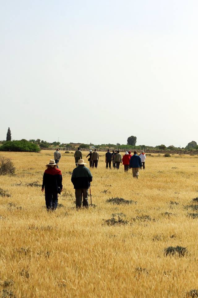 Gafsa: Intégrale Orabata à Bouhedma