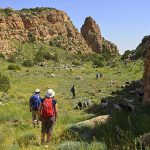 Gafsa: intégrale Orbata à Bouhedma