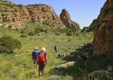 Gafsa: intégrale Orbata à Bouhedma