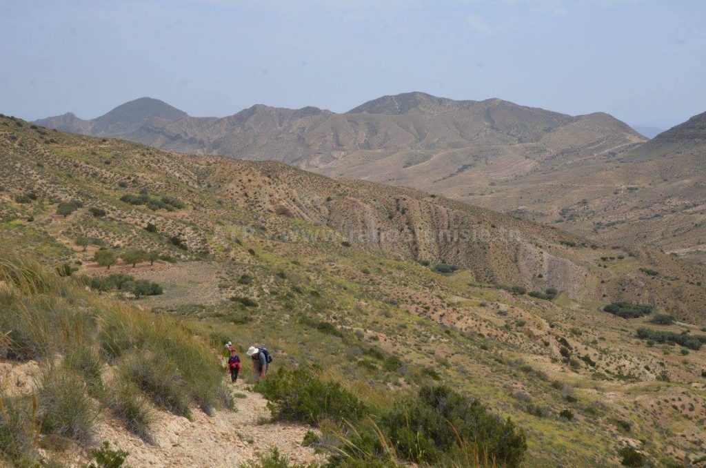 Gafsa: Intégrale orbata à Bouhedma