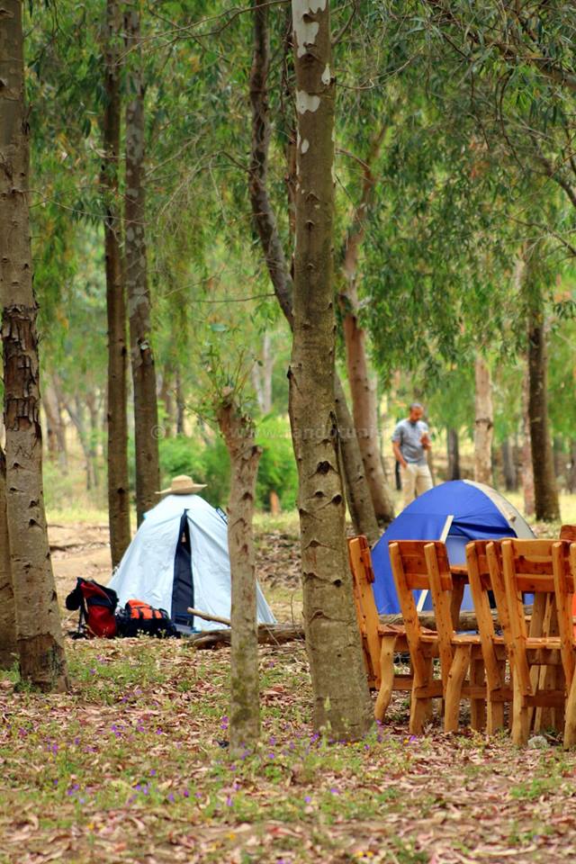 randonner avec ses enfants pendant les vacances