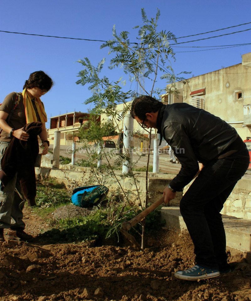 reboisement Tunisie