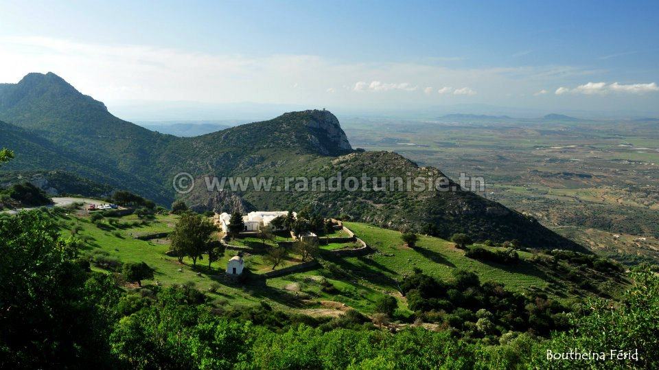 reboisement Tunisie