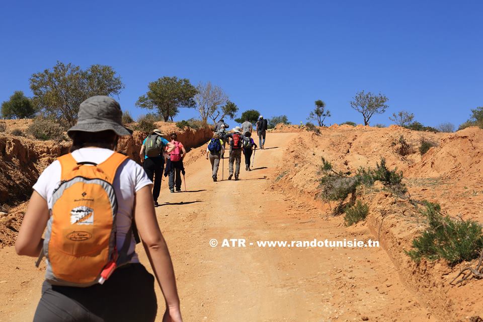 randonnée djebel trozza