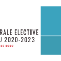 assemblée générale elective